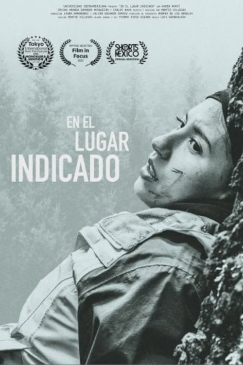 En el lugar indicado (2022) poster