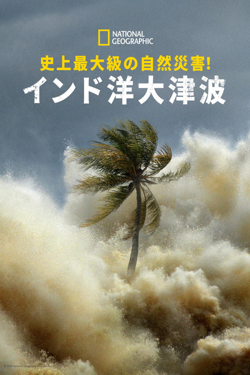 史上最大級の自然災害！インド洋大津波