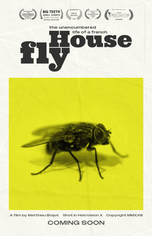The Unencumbered Life of a French House Fly