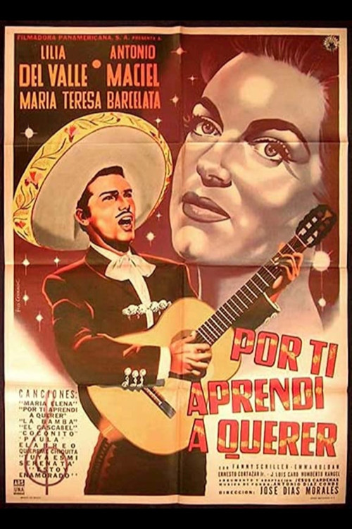 Por ti aprendí a querer