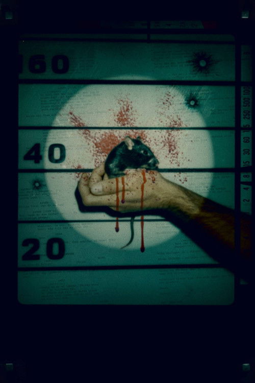 Råttan ibland oss poster