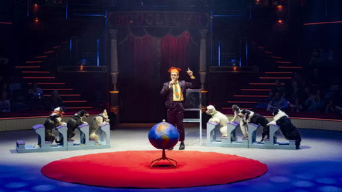 Délire au Cirque d'Hiver Bouglione de Paris