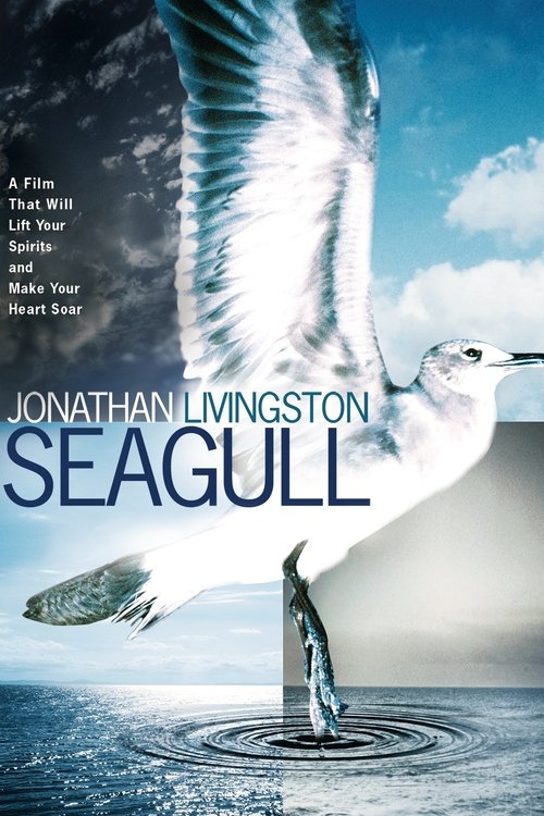 Jonathan Livingston Seagull poster