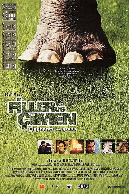 Affiche de Filler ve Çimen