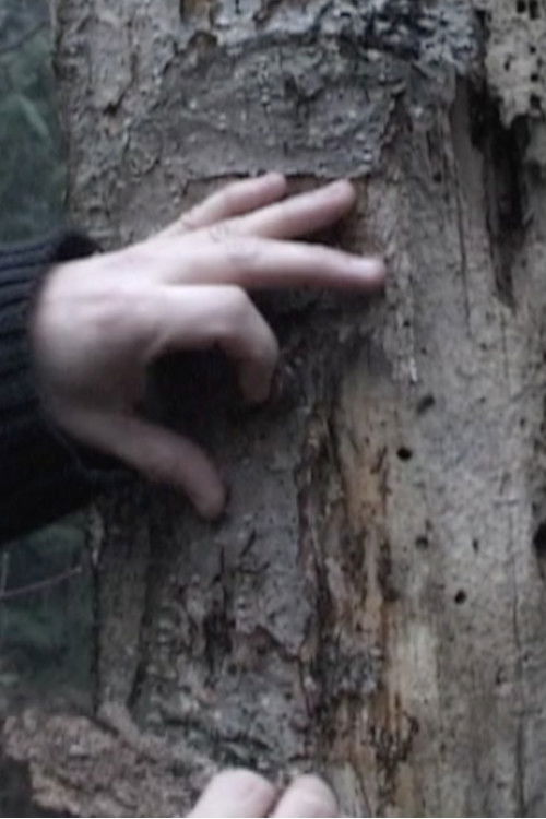 Skin for Life (2004) poster