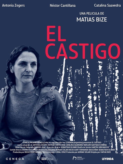 The Punishment poster