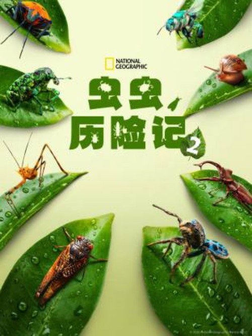 《虫虫历险记》第2季海报