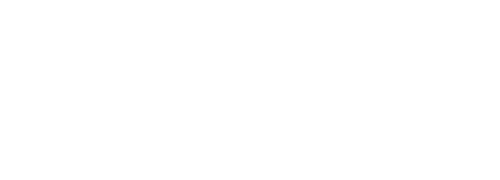 Iron Kung Fu Fist