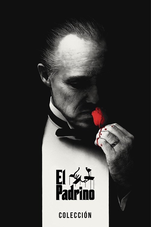 El padrino - Colección