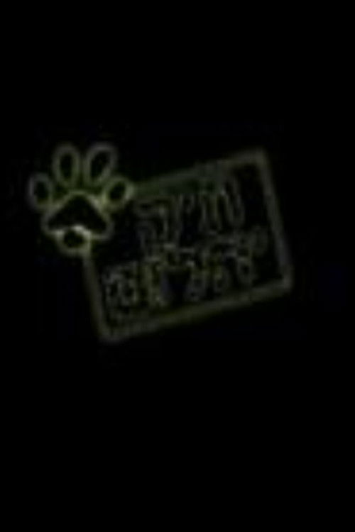 תיק יהלום (2007) poster