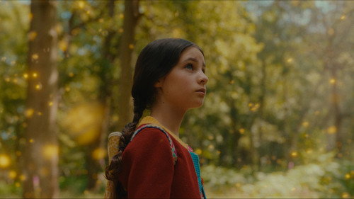 The Magic Faraway Tree