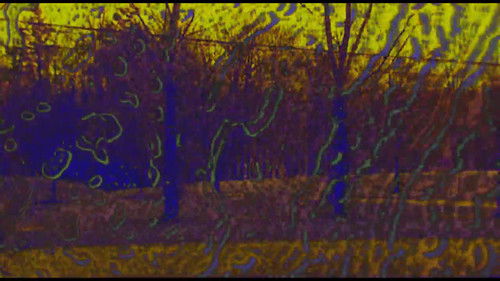 Joose Psychedelia Test