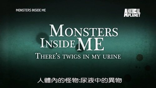 Image de l'épisode 12