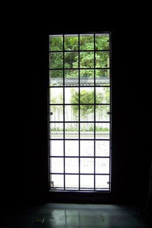 Scenery Outside the Window