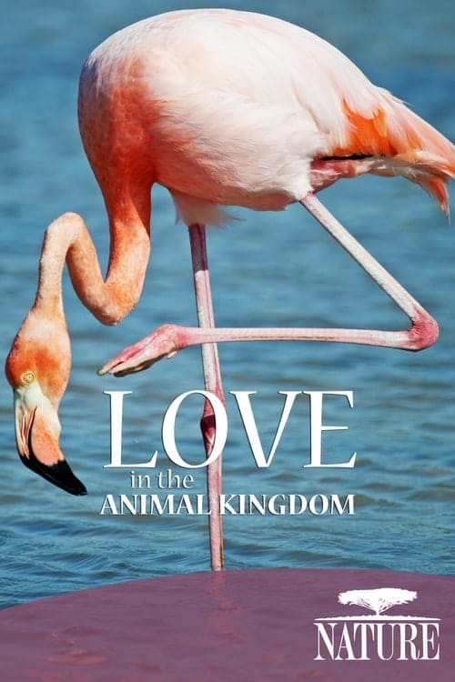 Nature: Love in the Animal Kingdom (2013) poster