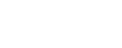 LOVE IN SLOW MOTION