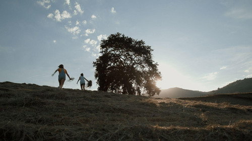 Cuando crece la hierba