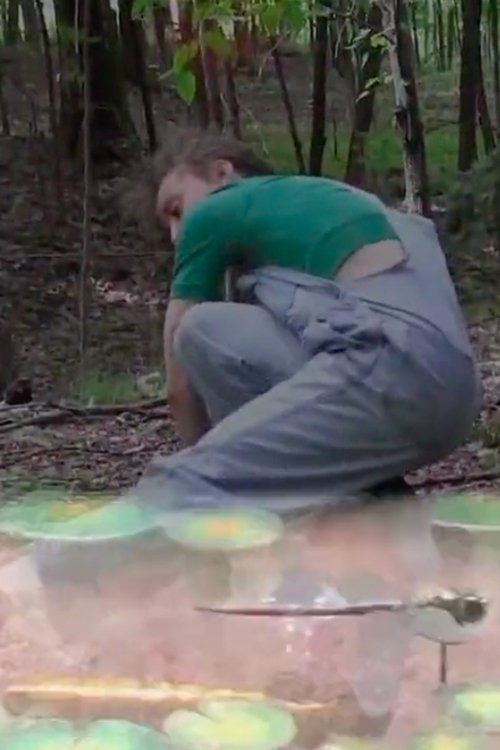 Longing for a Shadow poster