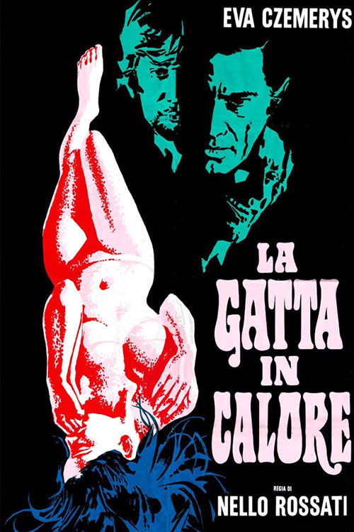 The Cat in Heat poster