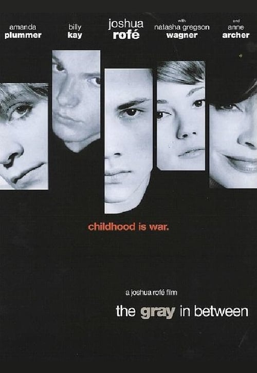 The Gray in Between Movie Poster Image
