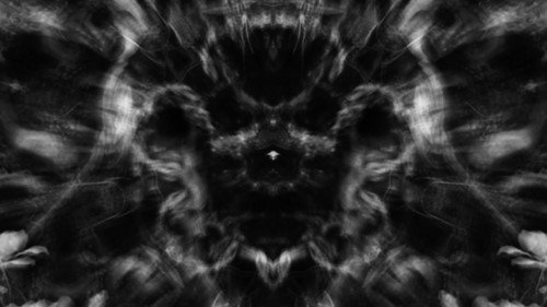 Meditations in Black and White I: Roots still