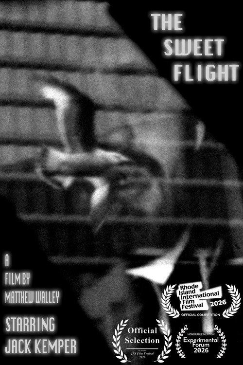 The Sweet Flight