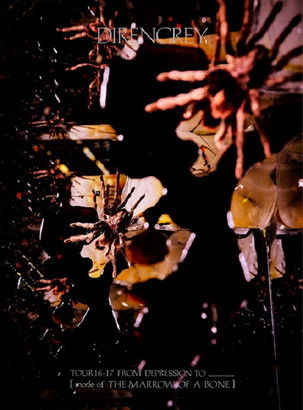 Dir En Grey - Tour 16-17 From Depression To [Mode Of The Marrow Of A Bone]
