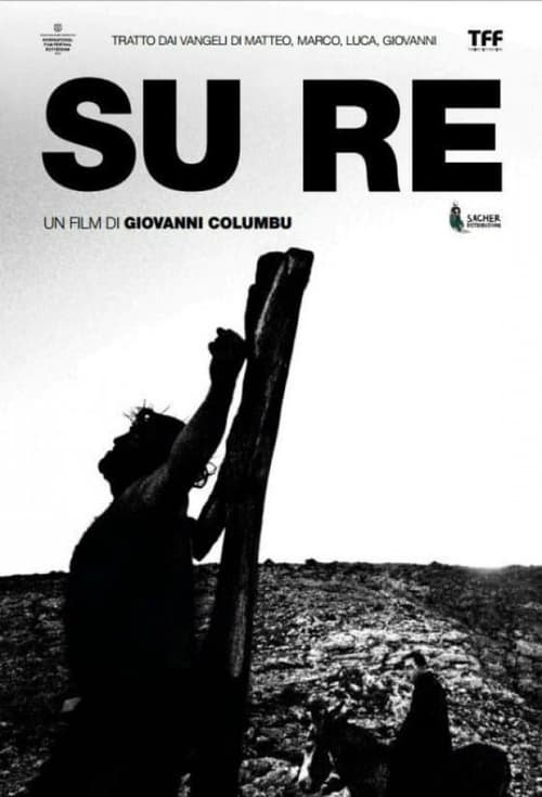 Su Re 2013