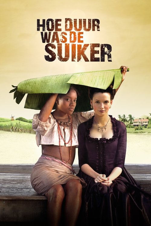 Hoe Duur Was de Suiker (2013) poster