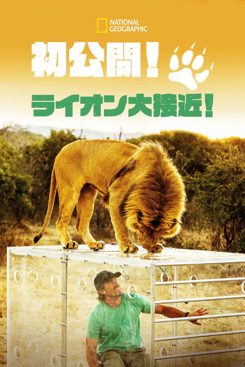 Man V. Lion poster