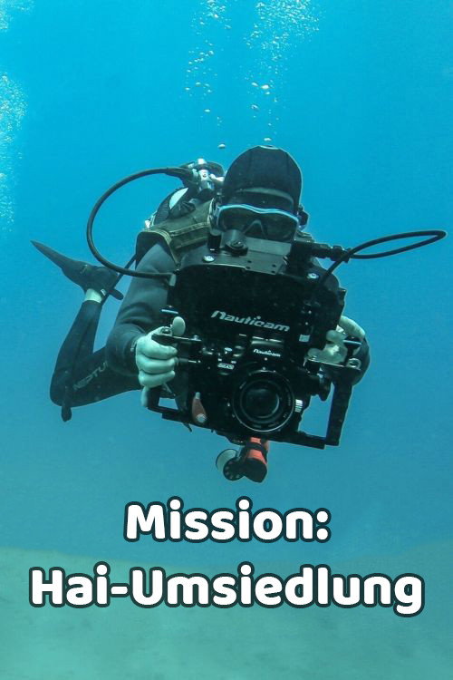 Mission: Hai-Umsiedlung
