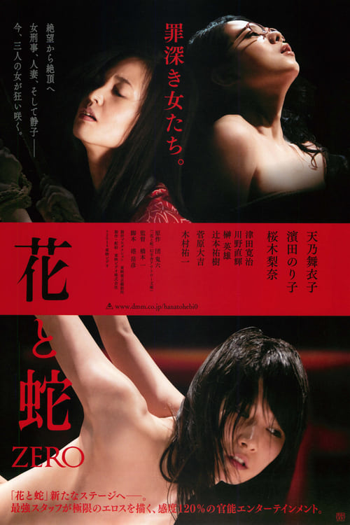 花と蛇 ZERO (2014) poster