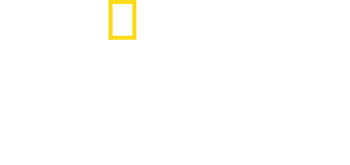 Amsterdam Centraal 24/7