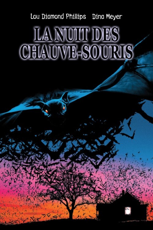 Poster image du film La nuit des chauves-souris La nuit des chauves-souris