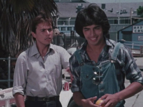 A Little Help From My Friends (Friendship)