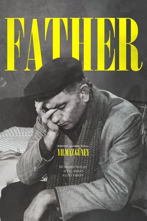 The Father Movie Poster Image