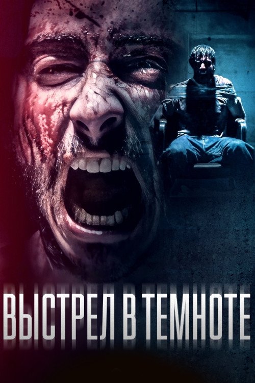 Shot in the Dark poster