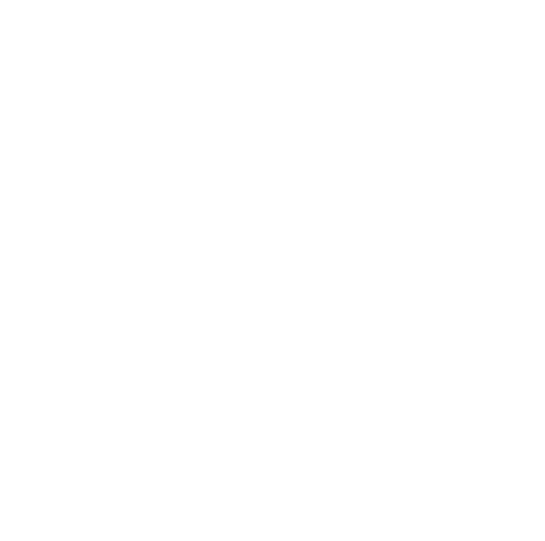 The Wedding Guest