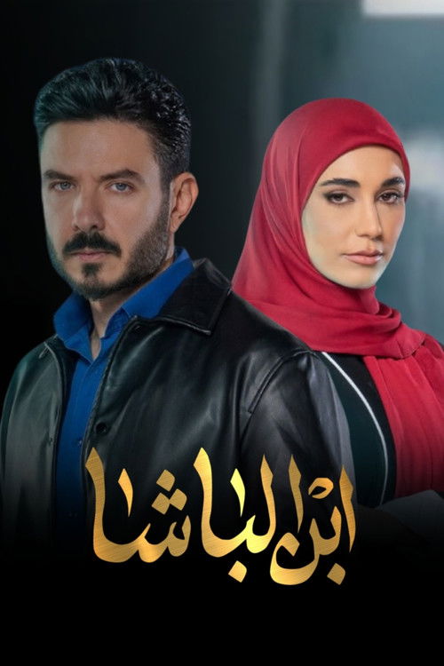 ابن الباشا - Poster