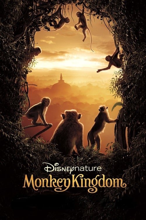 Grootschalige poster van Monkey Kingdom