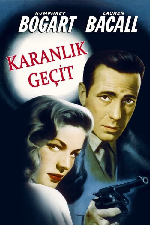 Karanlık Geçit ( Dark Passage )