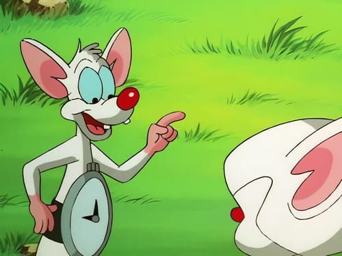 Poster della serie Pinky and the Brain