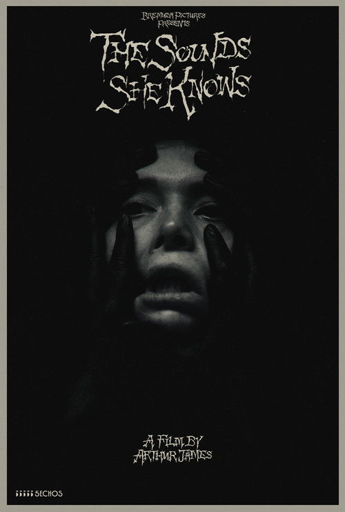 The Sounds She Knows poster