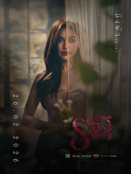 The Stain poster