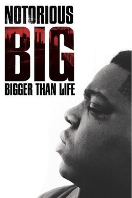 Poster Notorious B.I.G.: Bigger Than Life 2007