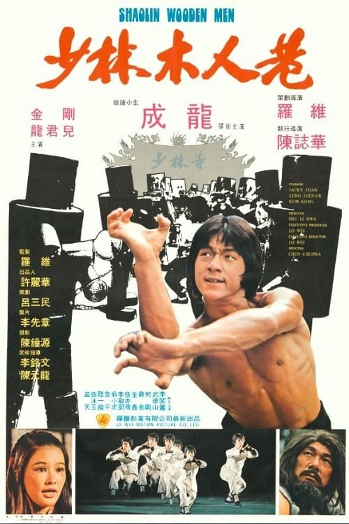 少林木人巷 (1976) poster