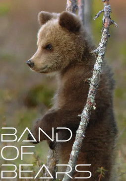 Band of Bears (2015) poster