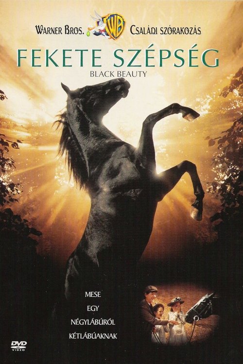 Fekete szépség 1994