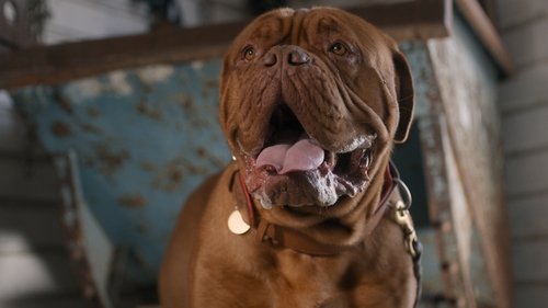 Turner e Hooch: 1×12