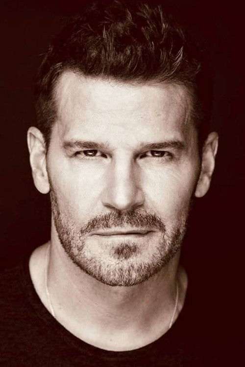 Foto de David Boreanaz